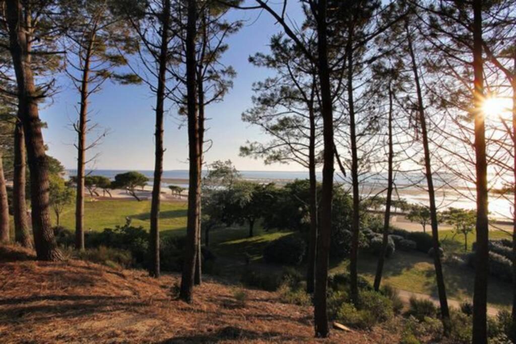 Appart Sur La Plage Pied Dans L Eau Avec Terrasse Jardin Vue Sur Le Bassin Depuis La Terrasse , Parking 아르카숑 외부 사진