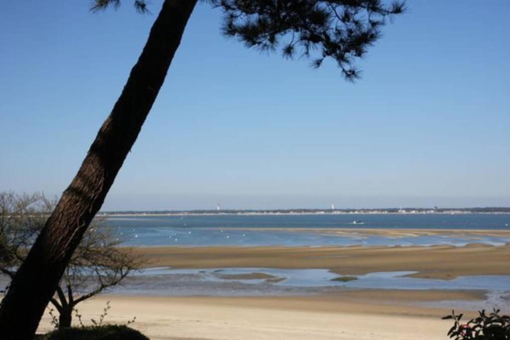 Appart Sur La Plage Pied Dans L Eau Avec Terrasse Jardin Vue Sur Le Bassin Depuis La Terrasse , Parking 아르카숑 외부 사진